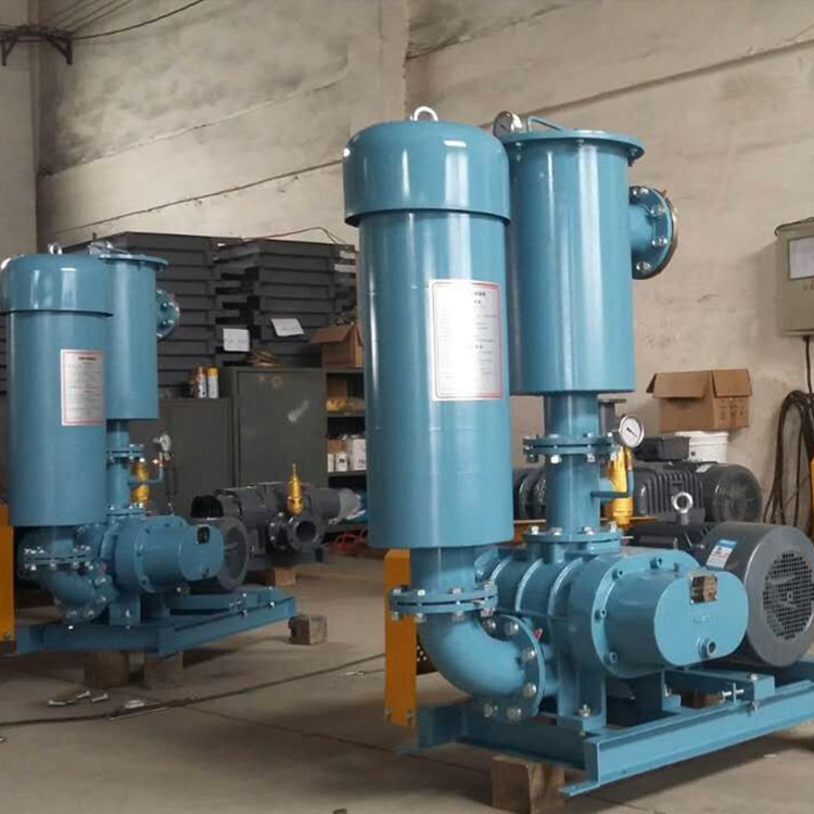 羅茨鼓風(fēng)機(jī) 750乘750 圖10 羅茨鼓風(fēng)機(jī) 750乘750 圖10